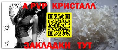 гашик Моздок