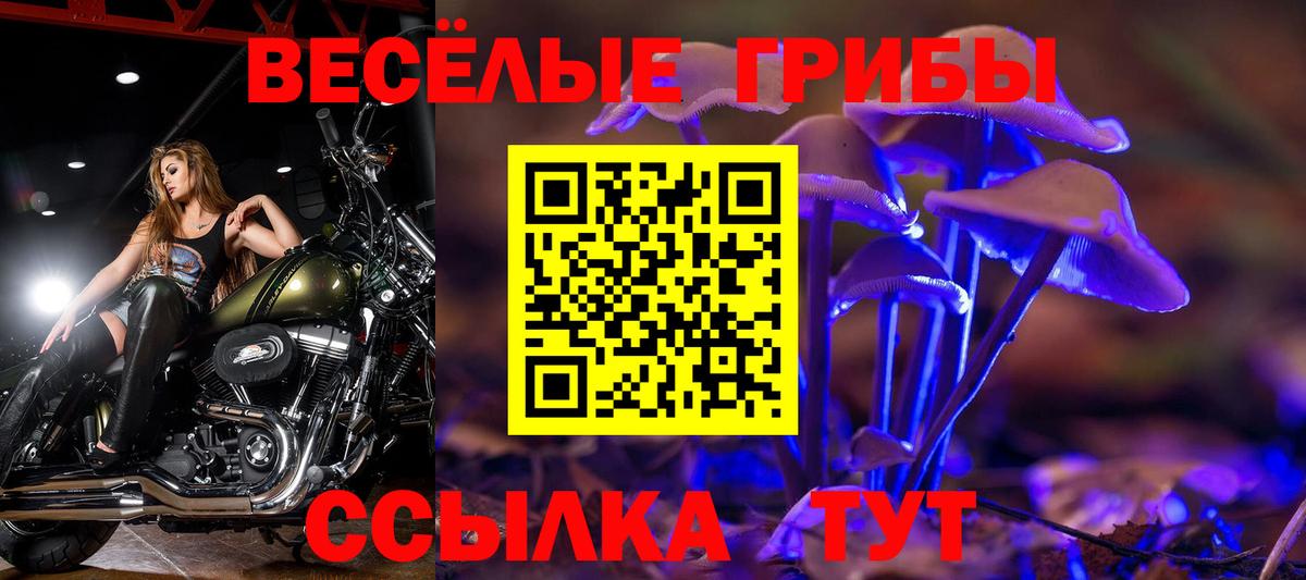 Галлюциногенные грибы GOLDEN TEACHER  магазин    Фурманов  Вход с VPN 
